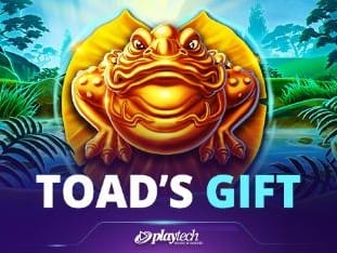 Toads Gift game thumbnail